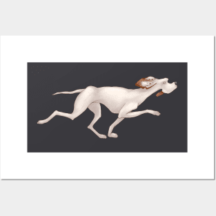 White hound dog is running. Hunting Pointer Posters and Art